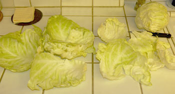 Cabbage Apart