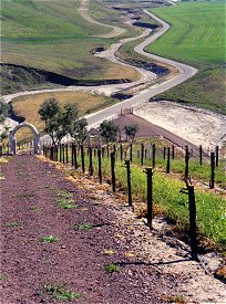 Chapel trail