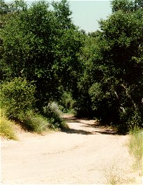 Road
