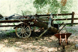 Wagon