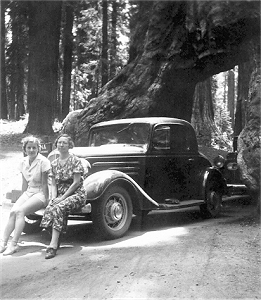 Mother and Grandmother at drive-through tree