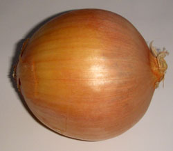 Onion