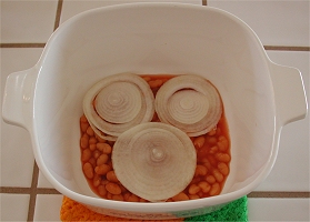 Onion layer
