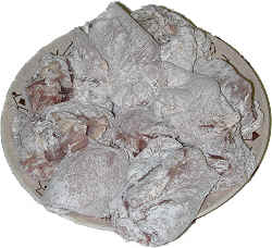 Floured chicken