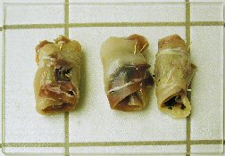 Rolled Chicken