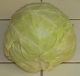 Cabbage