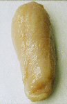 Chicken Breast