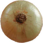 Yellow onion
