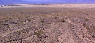 Devil's Cornfield