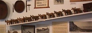 20 mule team model