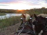 Trail ride