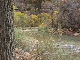 Virgin River