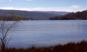 Bass Lake